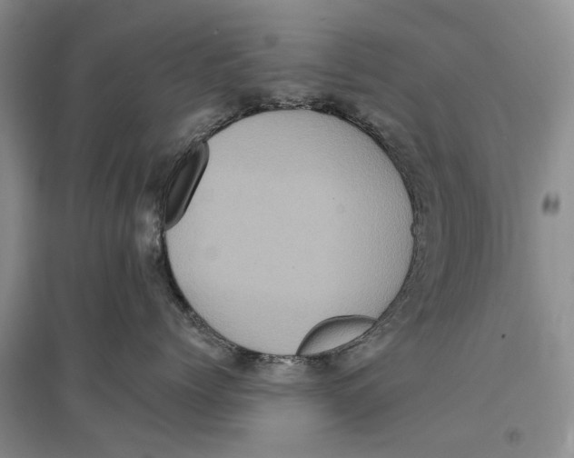 X0000096680768200802261516