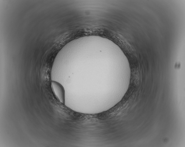 X0000096680770200802261515