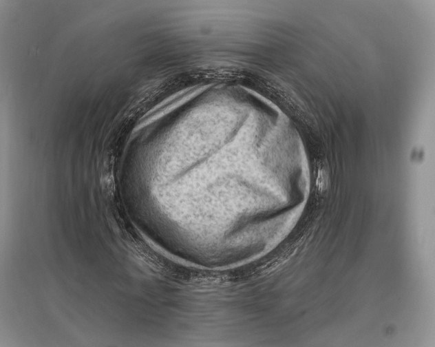 X0000096680771200802261515