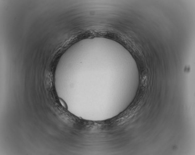 X0000096680772200802261515