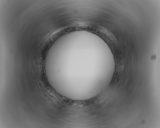 X0000096680773200802261515