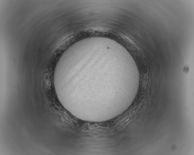 X0000096680774200802261515