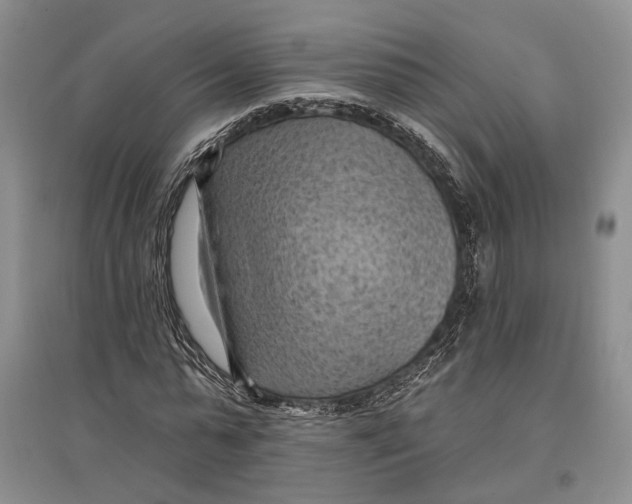 X0000096680775200802261515