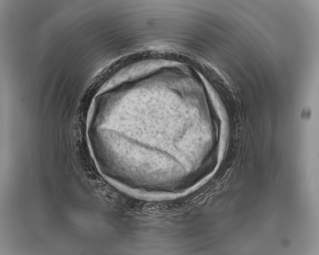 X0000096680776200802261515