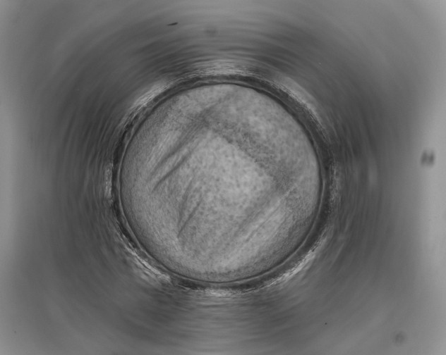 X0000096680777200802261515