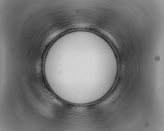 X0000096680778200802261515