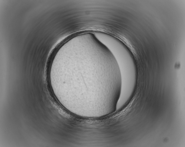 X0000096680780200802261515