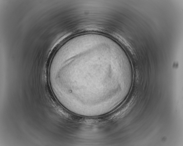 X0000096680782200802261515