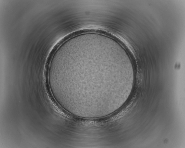 X0000096680783200802261515