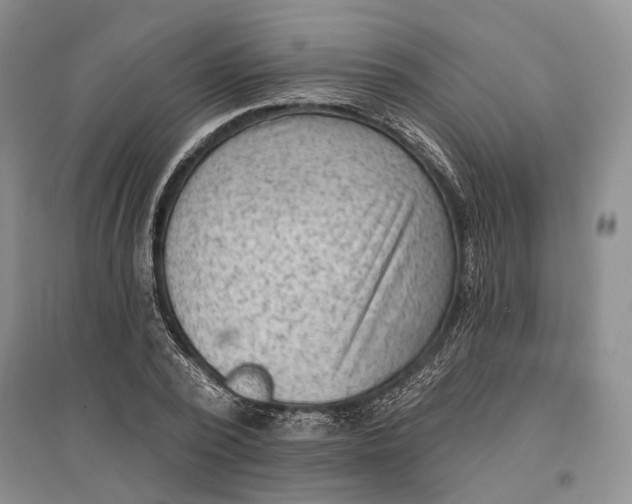 X0000096680784200802261515