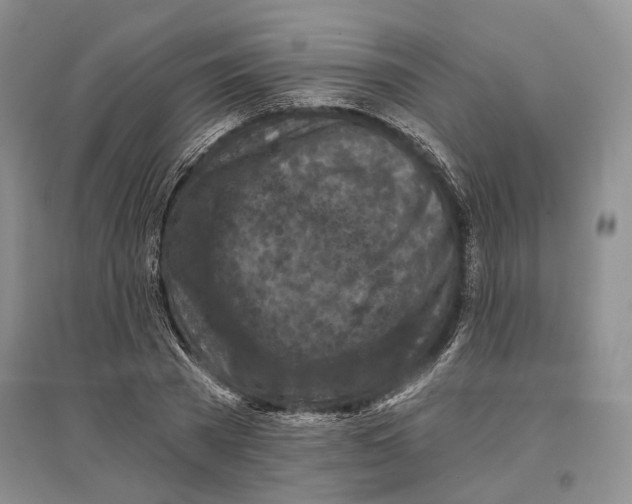 X0000096680785200802261515