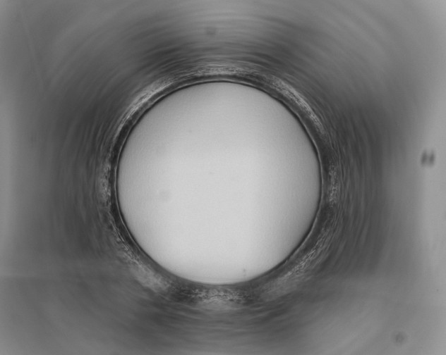 X0000096680786200802261515