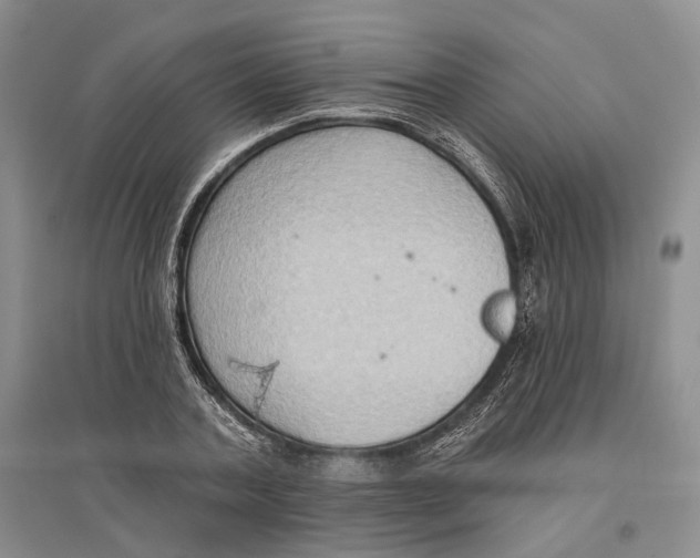 X0000096680787200802261515