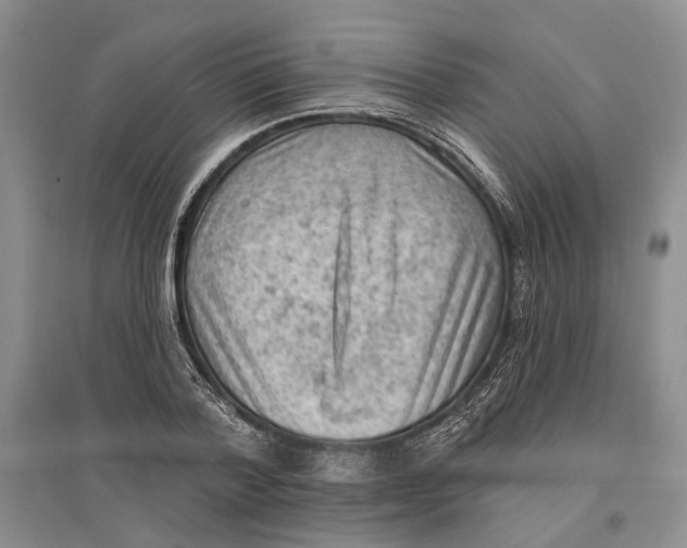 X0000096680788200802261515