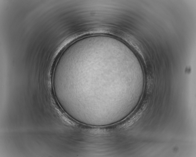 X0000096680789200802261515