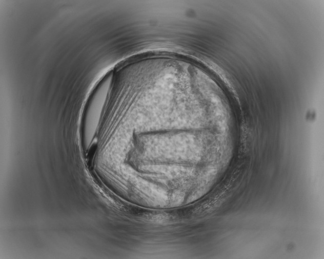 X0000096680791200802261515