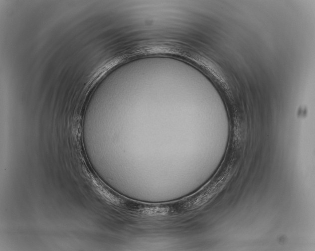 X0000096680793200802261515