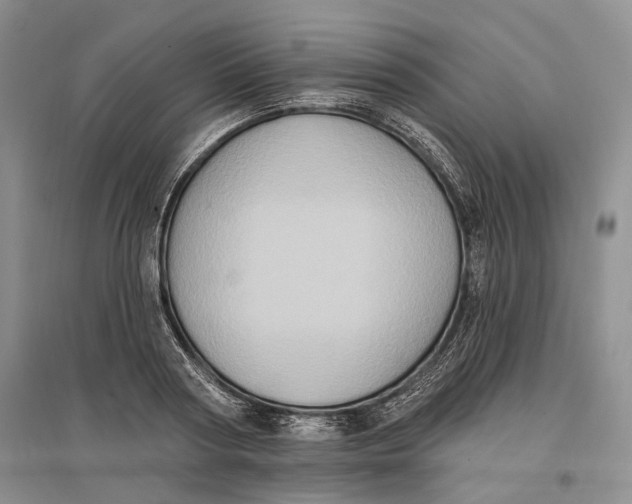 X0000096680794200802261515