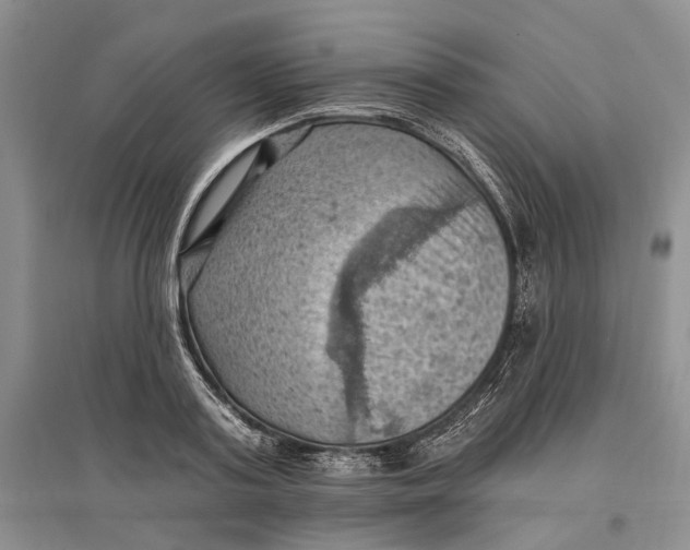 X0000096680795200802261515