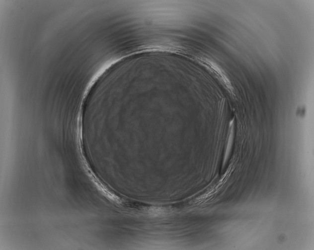 X0000096680796200802261515