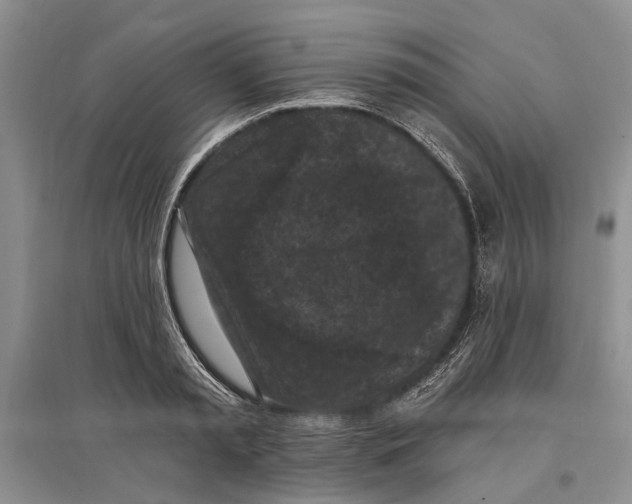 X0000096680797200802261515