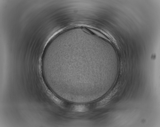 X0000096680798200802261515