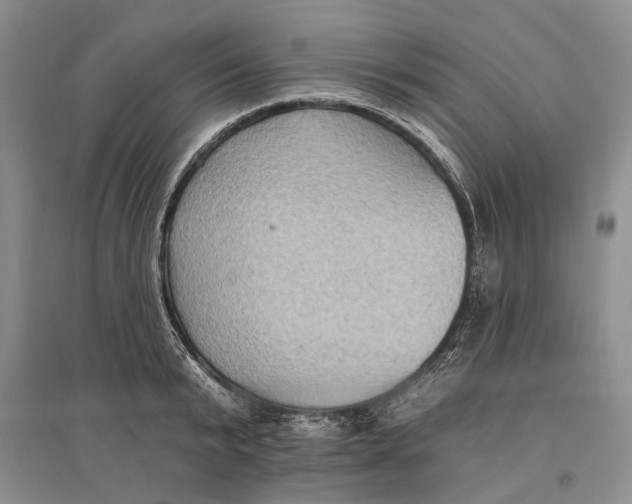 X0000096680799200802261515