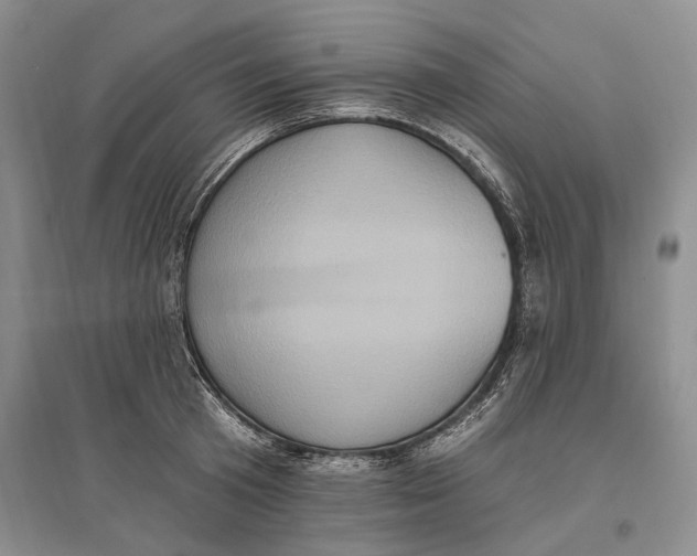 X0000096680801200802261515