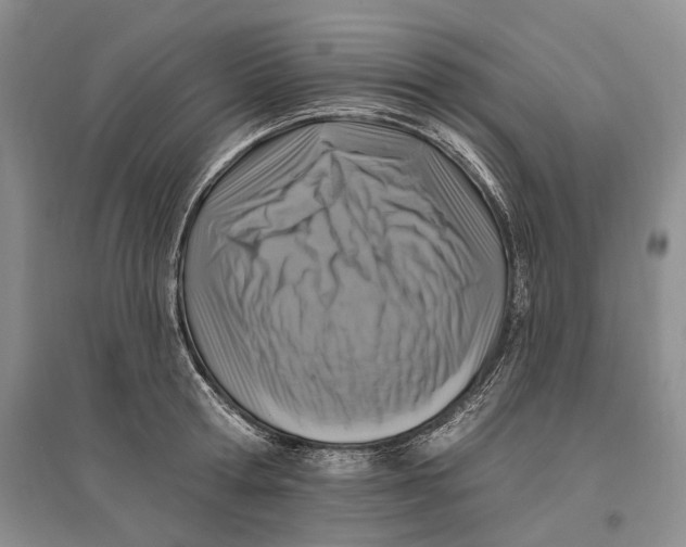 X0000096680802200802261515