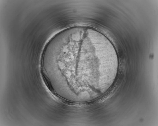 X0000096680803200802261515