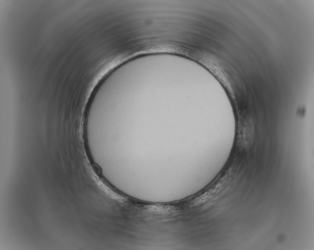 X0000096680805200802261515