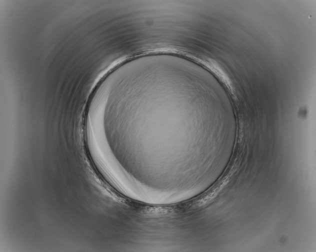 X0000096680806200802261515