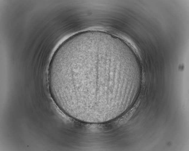 X0000096680808200802261515