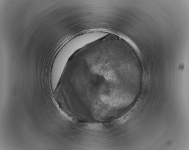 X0000096680809200802261515