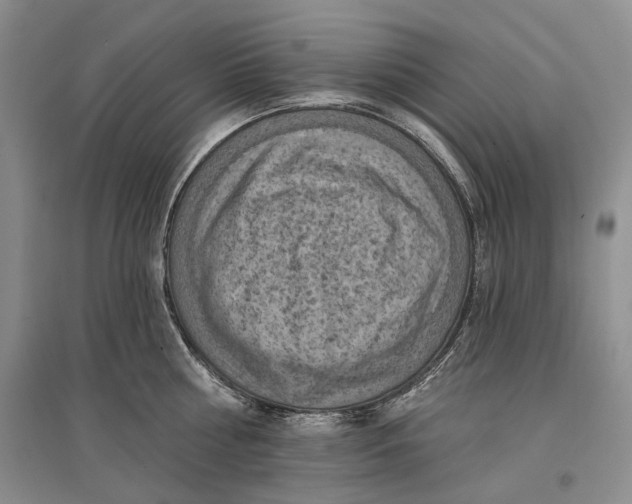 X0000096680810200802261514