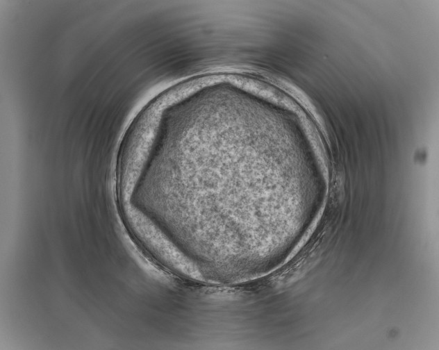 X0000096680811200802261514