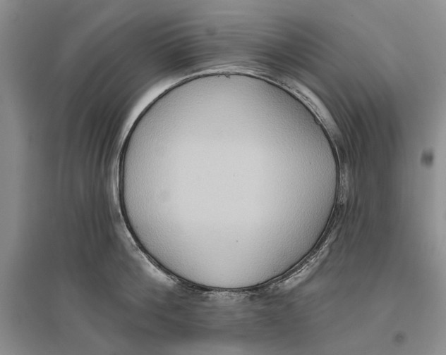 X0000096680812200802261514