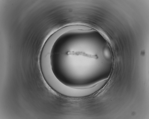 X0000096680813200802261514