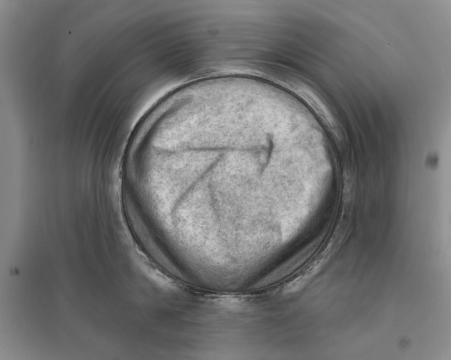 X0000096680814200802261514