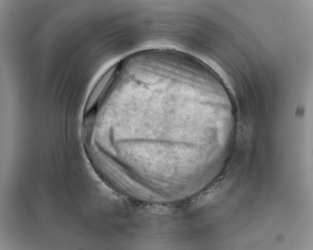 X0000096680815200802261514