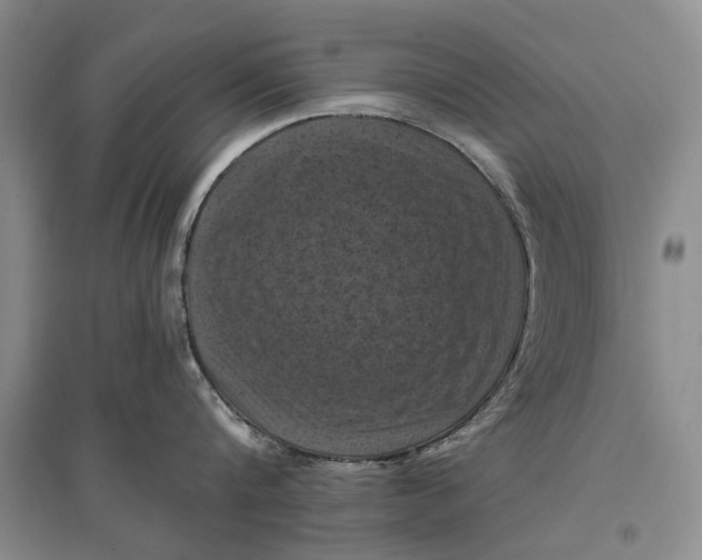 X0000096680816200802261514