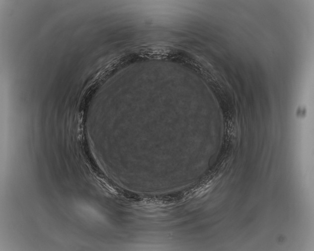 X0000096680818200802261514