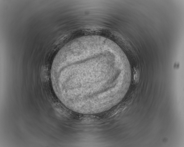 X0000096680819200802261514