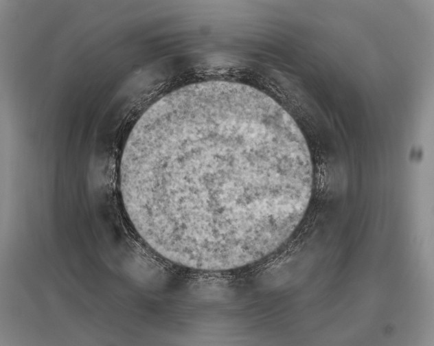 X0000096680820200802261514