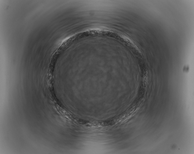 X0000096680822200802261514