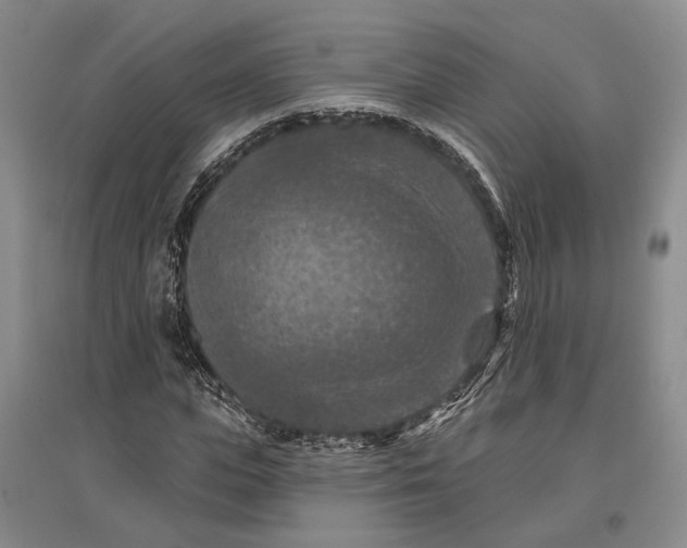 X0000096680823200802261514