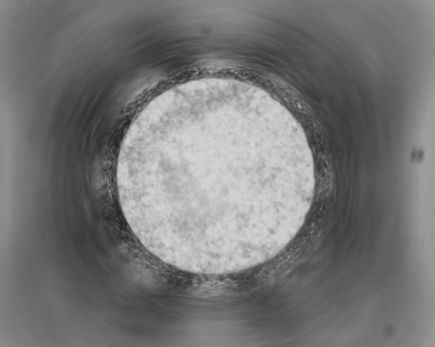 X0000096680824200802261514