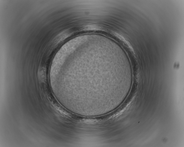 X0000096680825200802261514