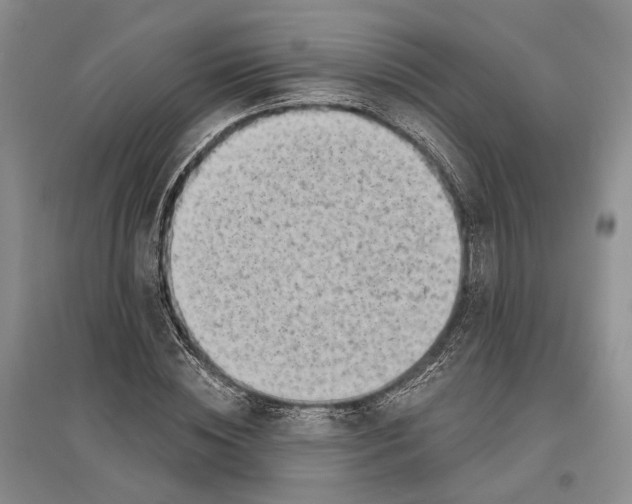 X0000096680828200802261514