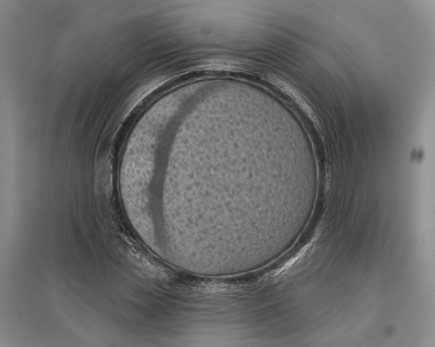 X0000096680829200802261514